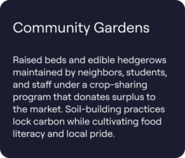 BLUE HORIZON PROPERTIES