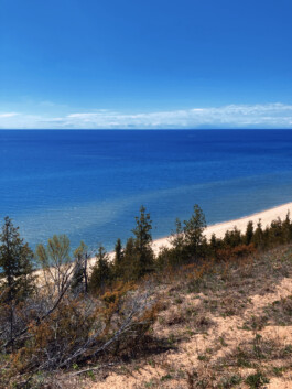 BLUE HORIZON PROPERTIES